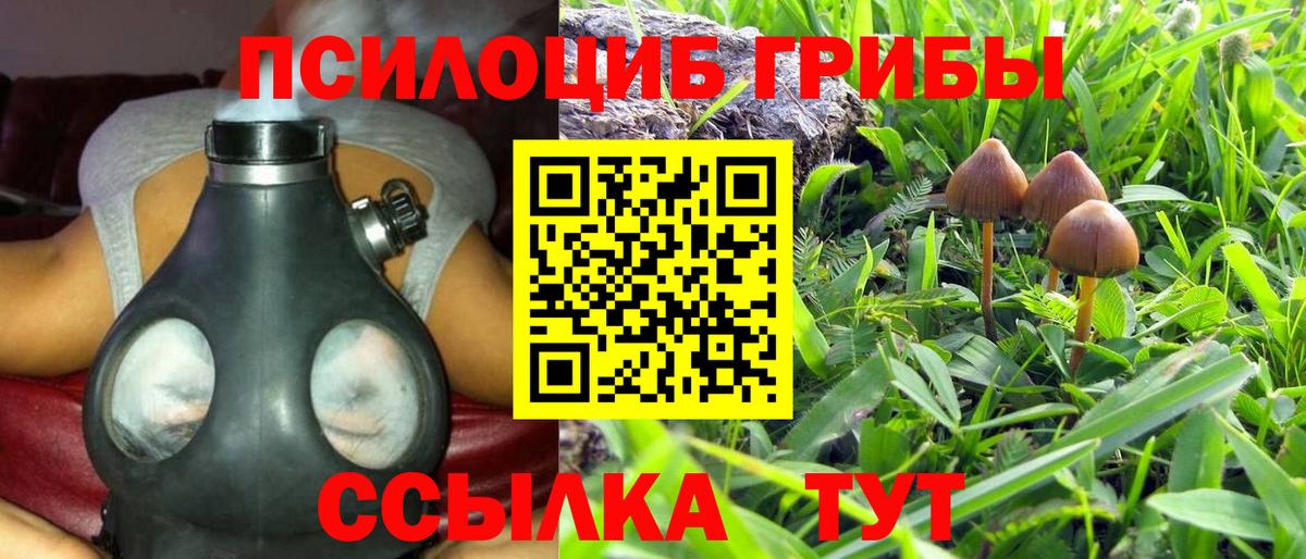 Бутурлиновка  Псилоцибиновые грибы Psilocybe  Вход с VPN  Галлюциногенные грибы GOLDEN TEACHER 