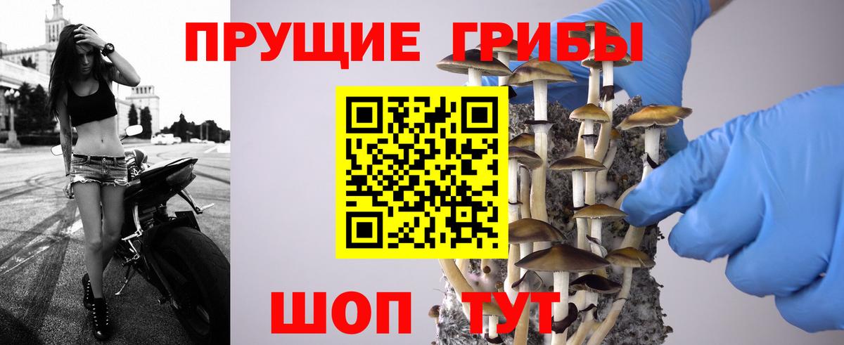 Псилоцибиновые грибы GOLDEN TEACHER Бутурлиновка